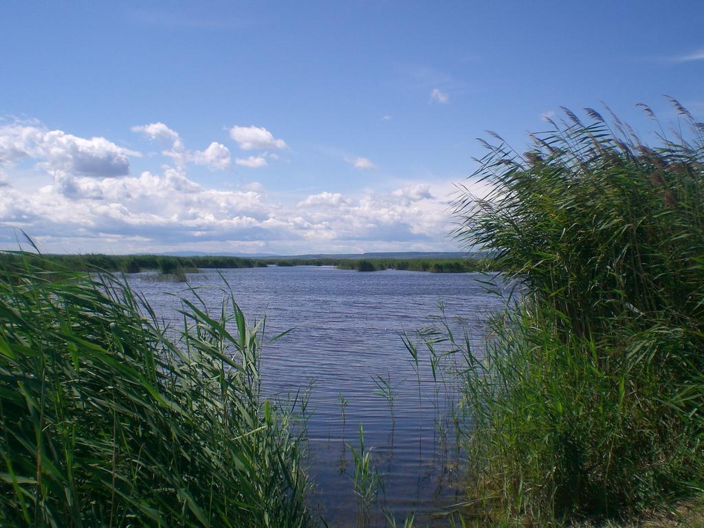 Ferienwohnungen Feldsee Illmitz Bagian luar foto