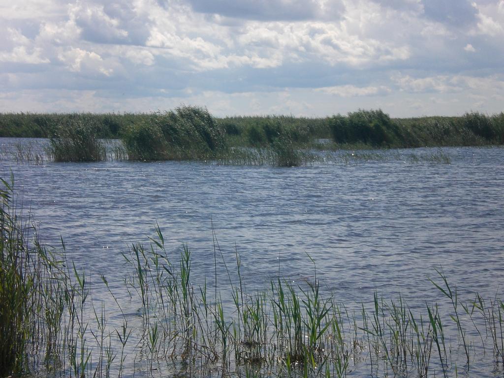 Ferienwohnungen Feldsee Illmitz Bagian luar foto