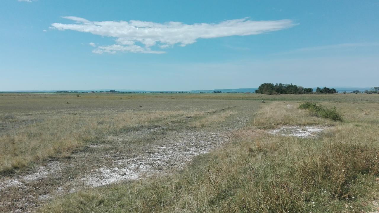 Ferienwohnungen Feldsee Illmitz Bagian luar foto