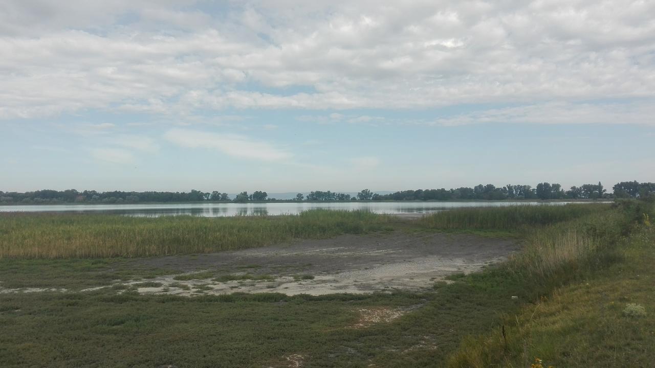 Ferienwohnungen Feldsee Illmitz Bagian luar foto