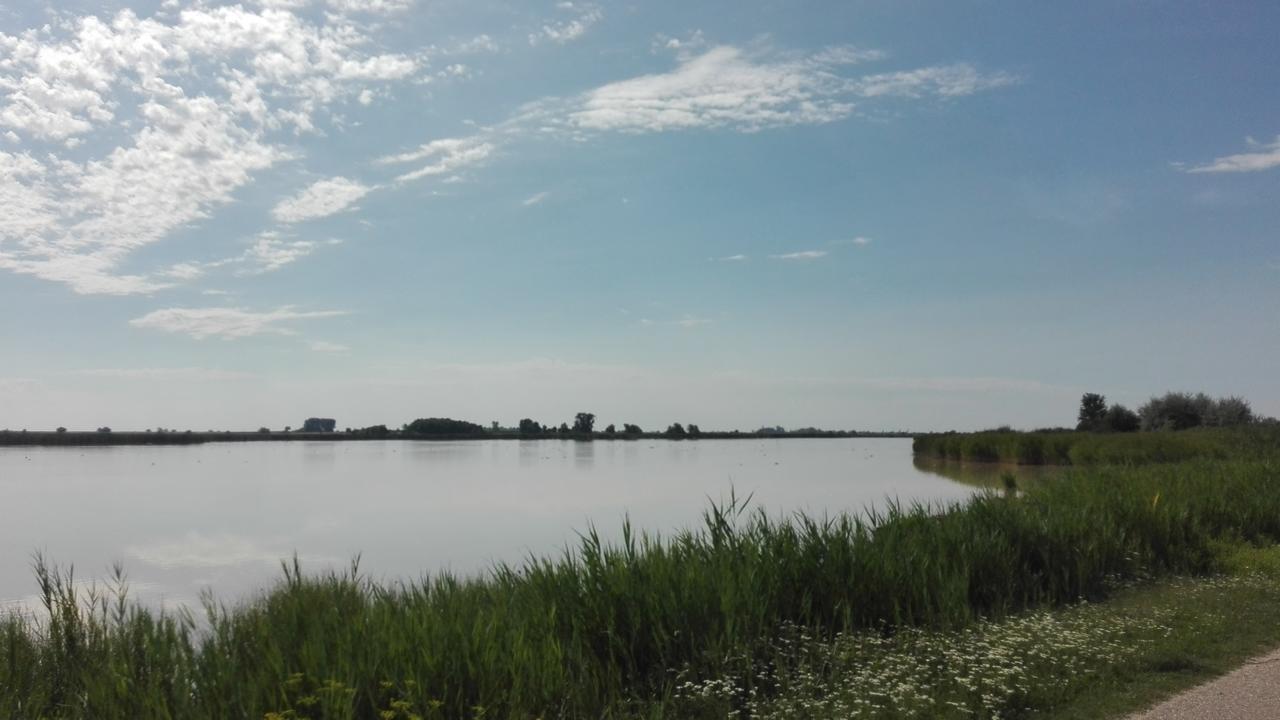 Ferienwohnungen Feldsee Illmitz Bagian luar foto
